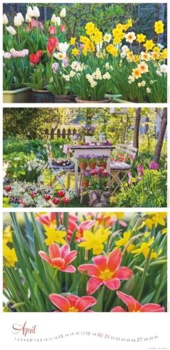 Weingarten Die Farben Der Garten Kalender 2025
