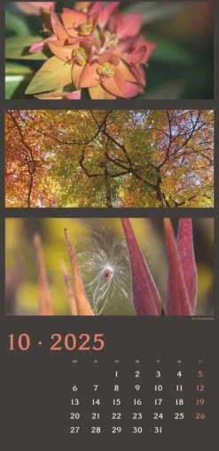 Weingarten Die Farben Der Natur Kalender 2025