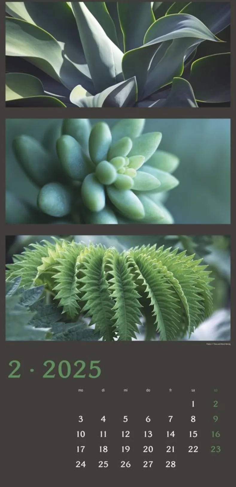 Weingarten Die Farben Der Natur Kalender 2025