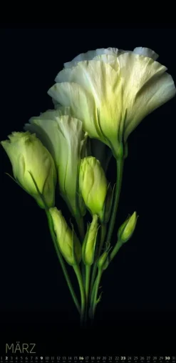 Weingarten Die Magie Der Blumen Kalender 2025
