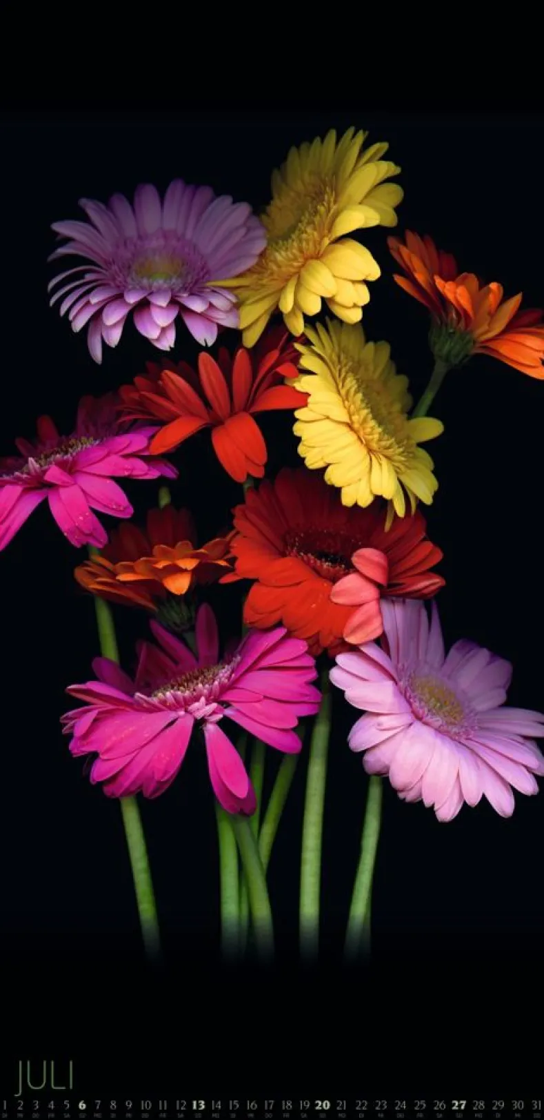 Weingarten Die Magie Der Blumen Kalender 2025