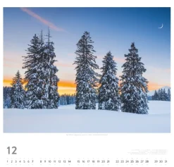 Weingarten Die Schweiz Kalender 2025