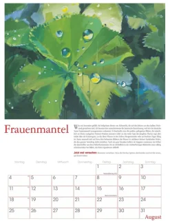 Weingarten Die Zeitneulich Im Beet Kalender 2025