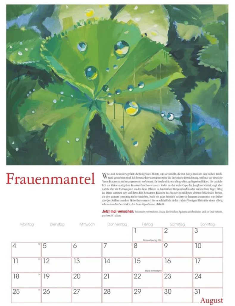 Weingarten Die Zeitneulich Im Beet Kalender 2025