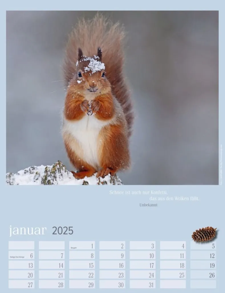 Weingarten Eichhornchen Kalender 2025