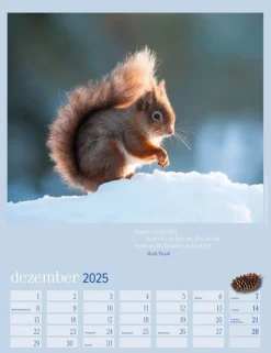 Weingarten Eichhornchen Kalender 2025