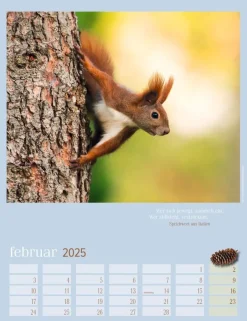 Weingarten Eichhornchen Kalender 2025