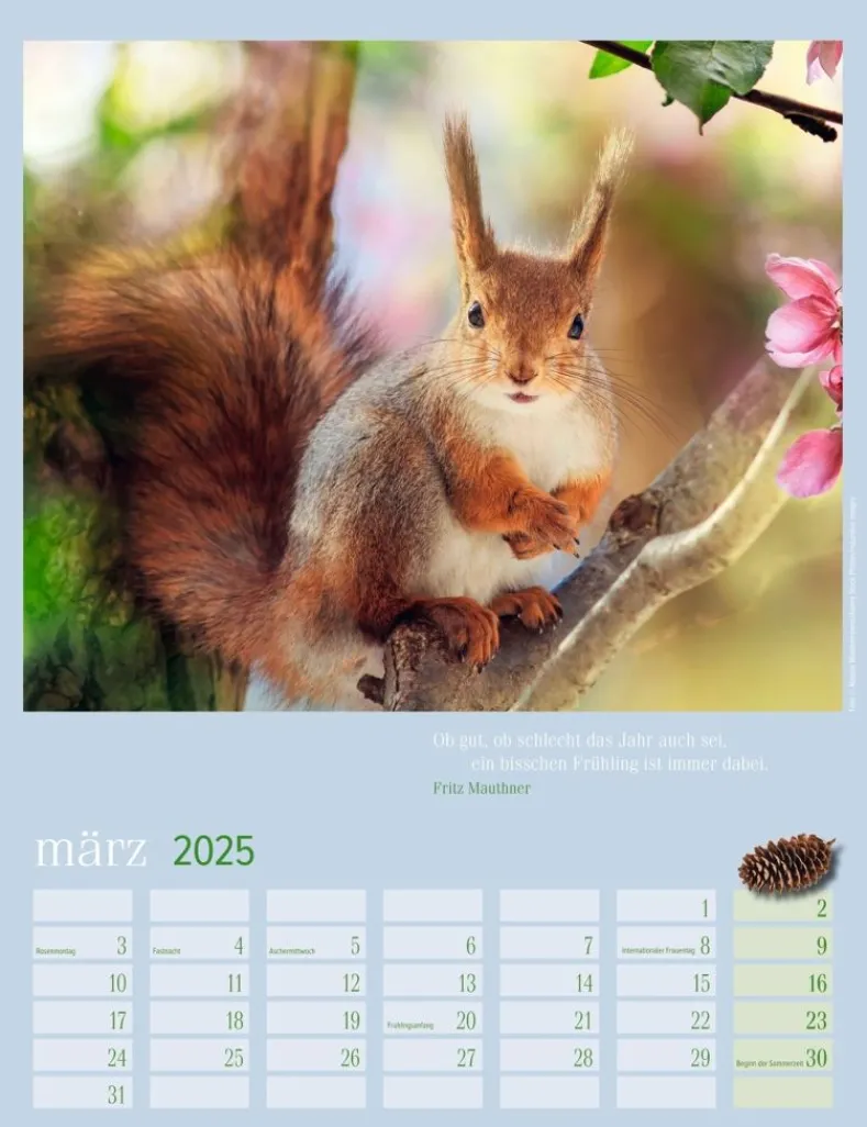 Weingarten Eichhornchen Kalender 2025