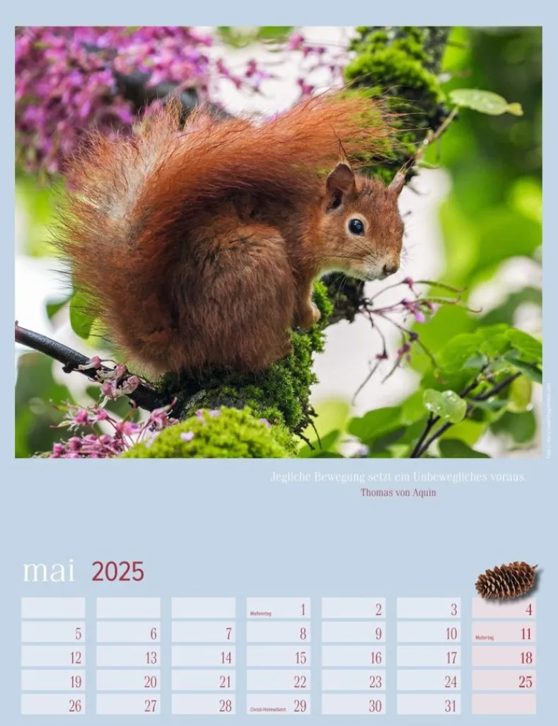 Weingarten Eichhornchen Kalender 2025