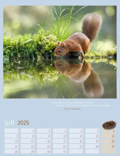 Weingarten Eichhornchen Kalender 2025