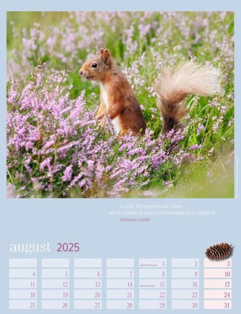 Weingarten Eichhornchen Kalender 2025
