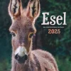 Weingarten Esel Kalender 2025