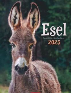 Weingarten Esel Kalender 2025