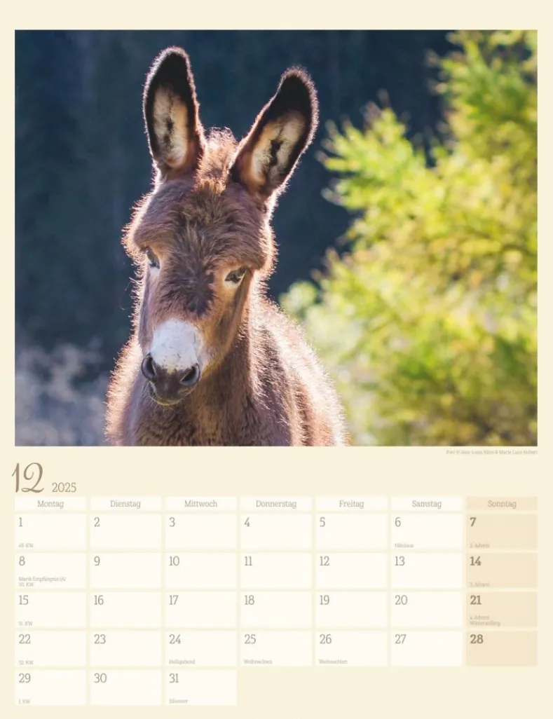 Weingarten Esel Kalender 2025