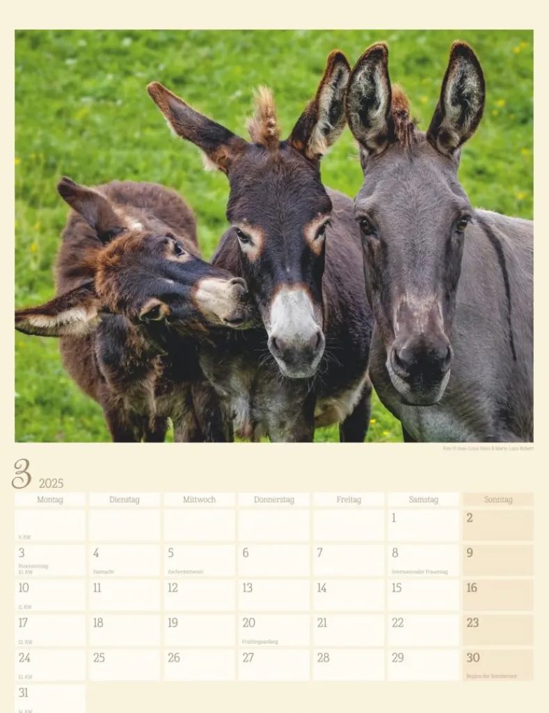 Weingarten Esel Kalender 2025
