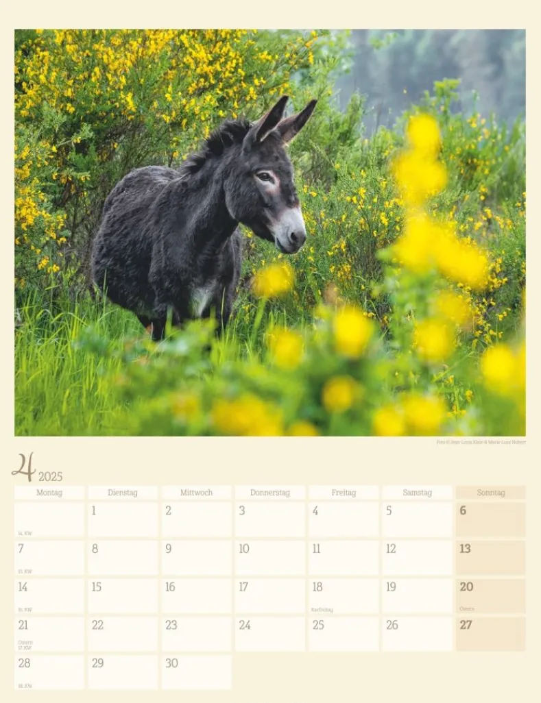 Weingarten Esel Kalender 2025