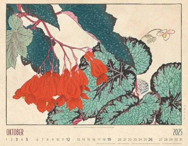 Weingarten Flower Art Kalender 2025