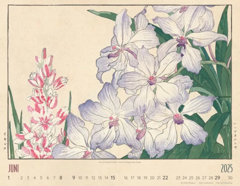Weingarten Flower Art Kalender 2025