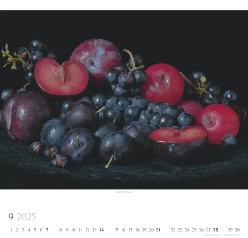 Weingarten Food Stills Lynn Karlin Kalender 2025
