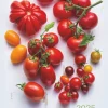 Weingarten Fresh Food Kalender 2025