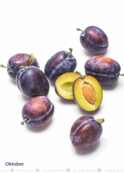 Weingarten Fresh Food Kalender 2025