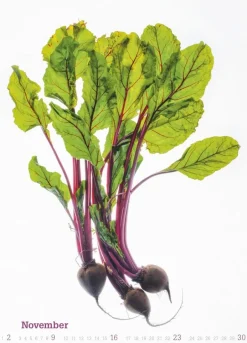 Weingarten Fresh Food Kalender 2025