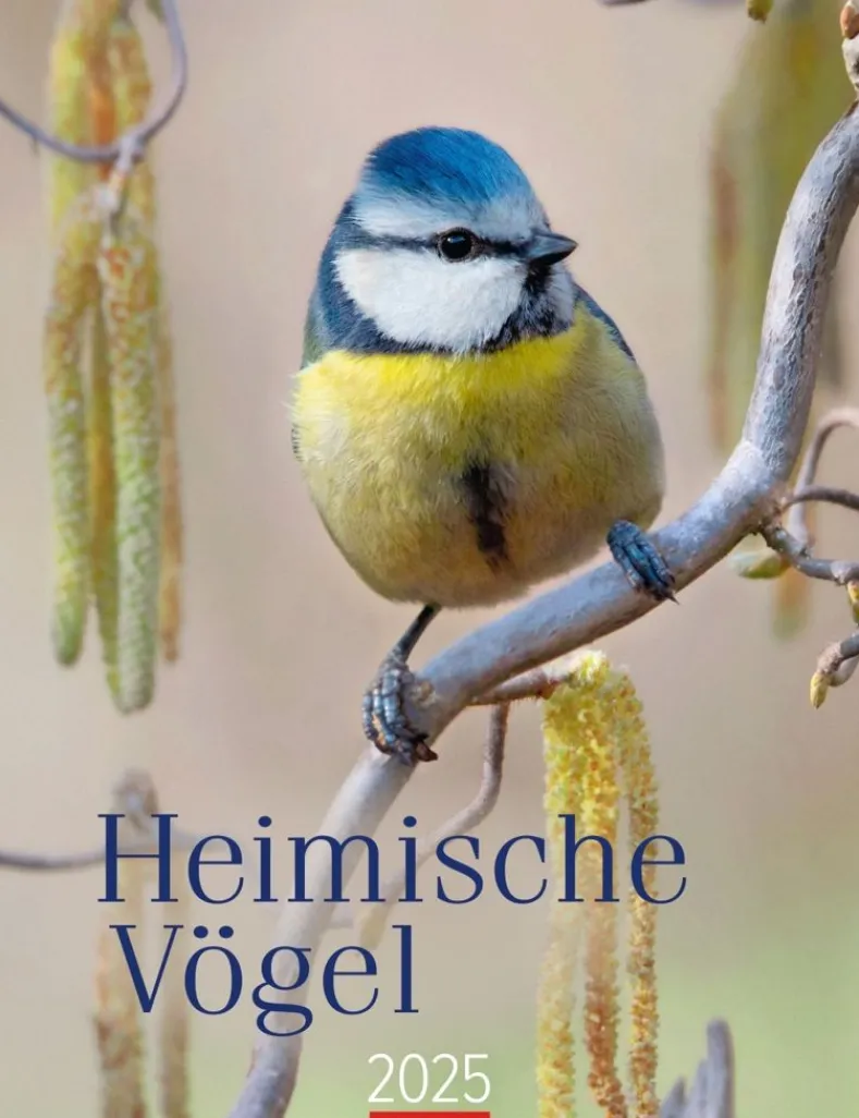 Weingarten Heimische Vogel Kalender 2025