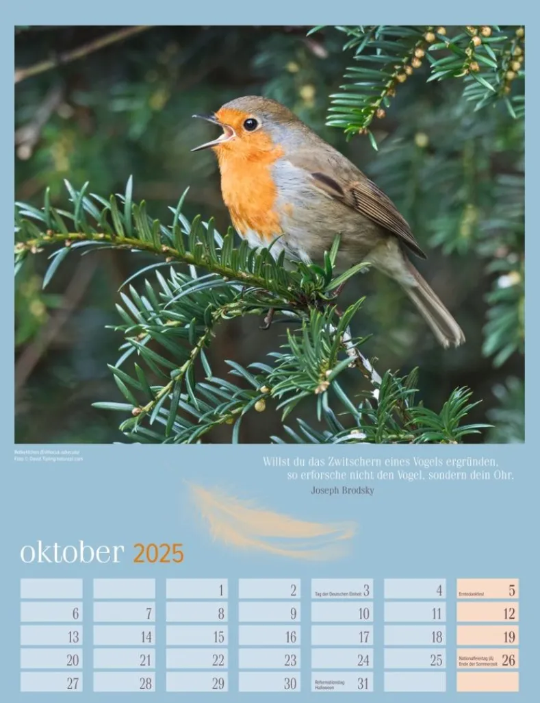 Weingarten Heimische Vogel Kalender 2025