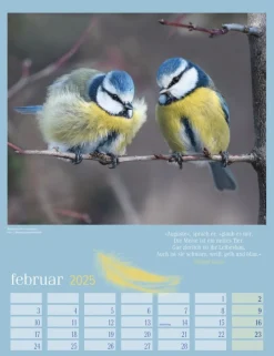 Weingarten Heimische Vogel Kalender 2025