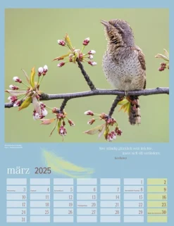 Weingarten Heimische Vogel Kalender 2025