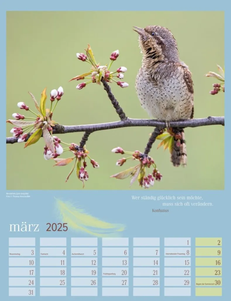 Weingarten Heimische Vogel Kalender 2025