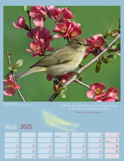 Weingarten Heimische Vogel Kalender 2025