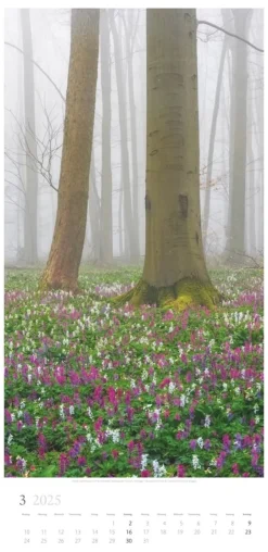 Weingarten Im Wald Kalender 2025