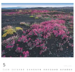 Weingarten Island Kalender 2025