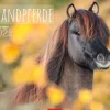 Weingarten Islandpferde Kalender 2025