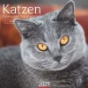 Weingarten Katzen Diven Auf Samtpfoten Kalender 2025