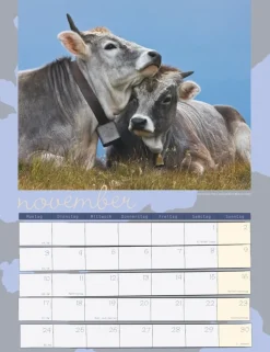 Weingarten Kuh Kalender 2025