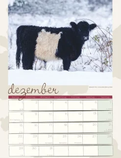 Weingarten Kuh Kalender 2025