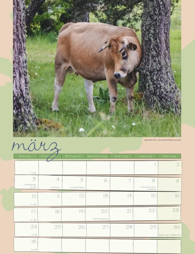 Weingarten Kuh Kalender 2025