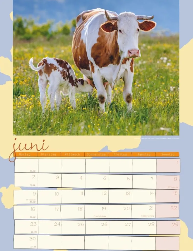 Weingarten Kuh Kalender 2025