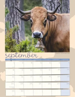 Weingarten Kuh Kalender 2025