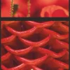 Weingarten Nature Nature Kalender 2025