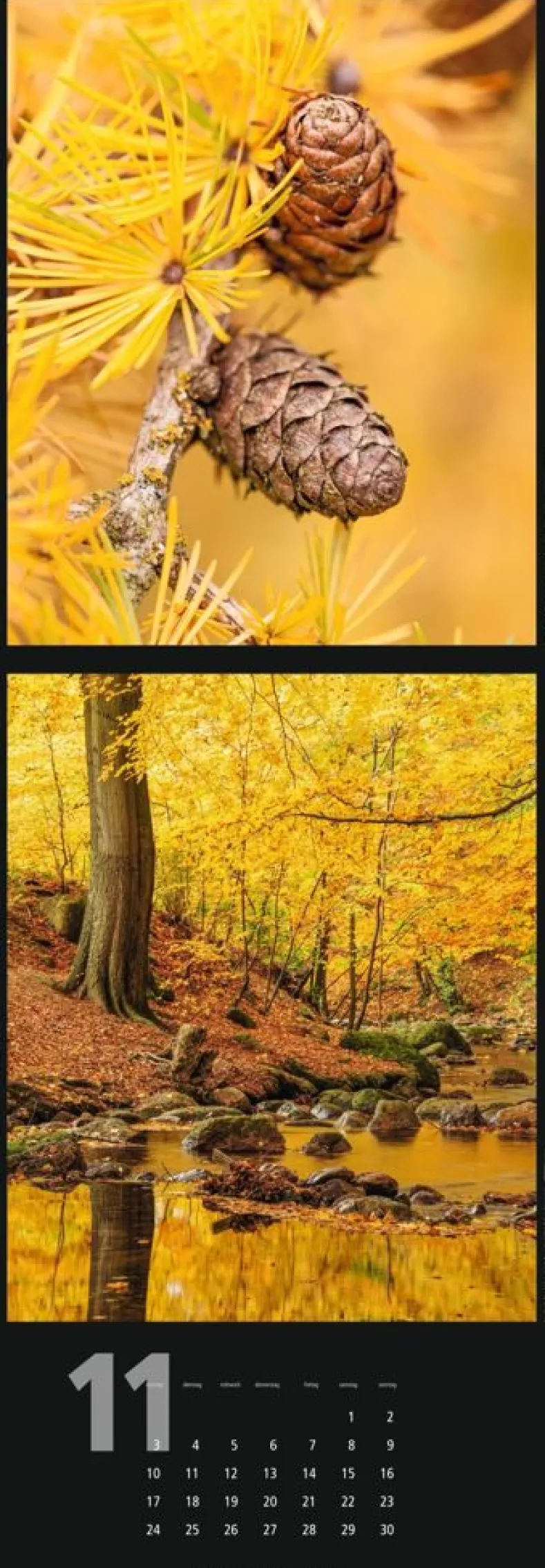 Weingarten Nature Nature Kalender 2025