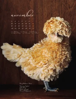 Weingarten Pretty Chicks Kalender 2025