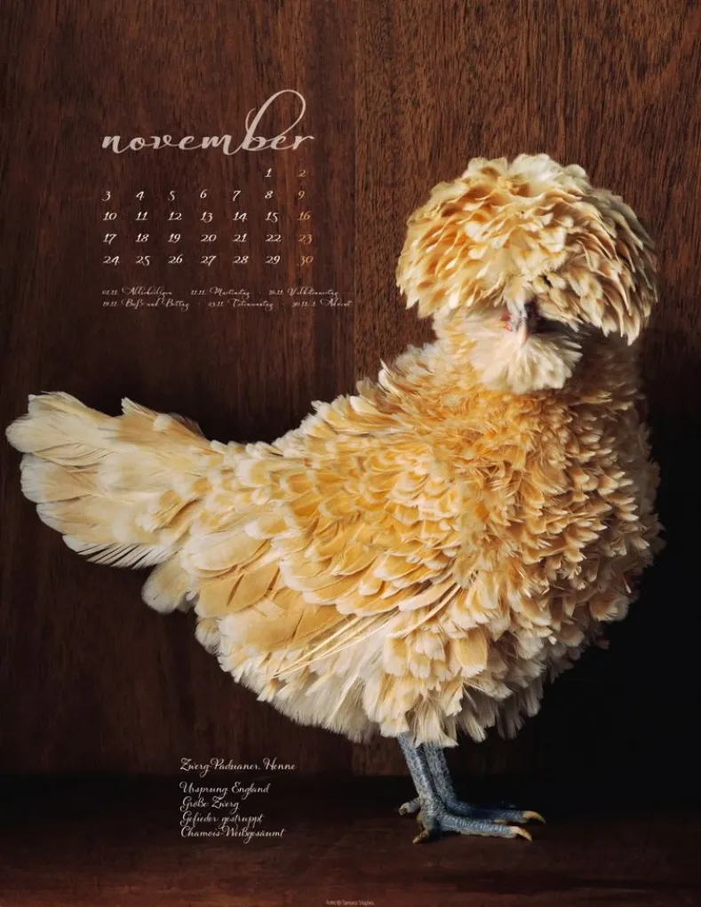Weingarten Pretty Chicks Kalender 2025