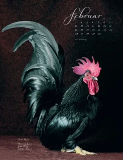Weingarten Pretty Chicks Kalender 2025