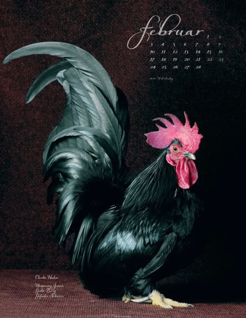 Weingarten Pretty Chicks Kalender 2025