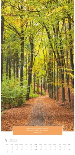 Weingarten Traumhafte Wege Kalender 2025