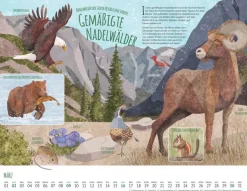 Weingarten Wo Tiere Und Pflanzen Zu Hause Sind Kalender 2025