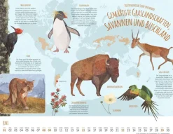 Weingarten Wo Tiere Und Pflanzen Zu Hause Sind Kalender 2025
